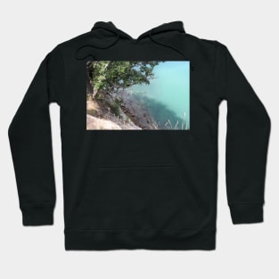 tree overhanging a rocky shore Hoodie